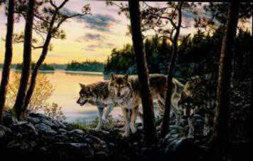 Twilight Encounter by Darrell Bush Pricing Limited Edition Print image