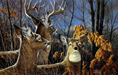 Hunting, Jack Paluh Arts