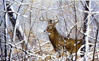 Winter Refuge by Jack Paluh Pricing Limited Edition Print image