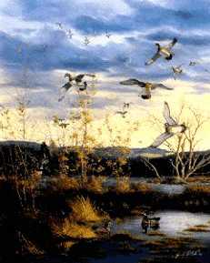 Siegel Marsh by Jack Paluh Pricing Limited Edition Print image
