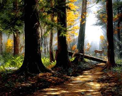 Peaceful Path by Jack Paluh Pricing Limited Edition Print image