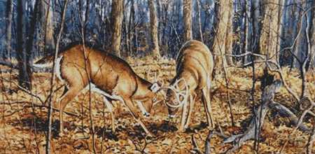 Sparring Bucks by Jack Paluh Pricing Limited Edition Print image