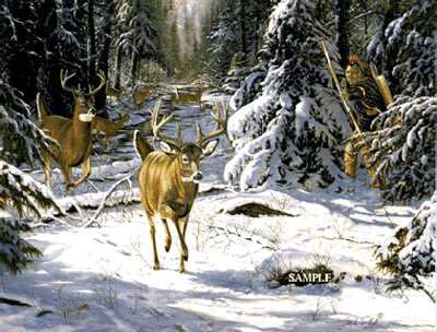 Whitetail Drive by Jack Paluh Pricing Limited Edition Print image