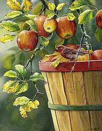 Fall Apple Harvest by Susan Bourdet Pricing Limited Edition Print image