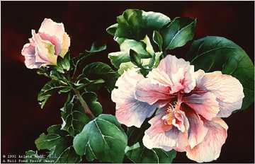 Hibiscus Show Off by Arleta Pech Pricing Limited Edition Print image