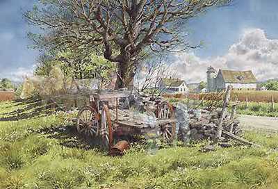 Clearing Field by Charles Peterson Pricing Limited Edition Print image