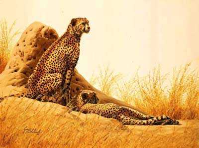 At Ease by Guy Coheleach Pricing Limited Edition Print image