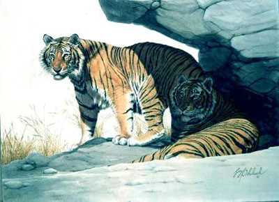 Bengal Brace by Guy Coheleach Pricing Limited Edition Print image