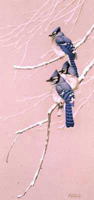 Blue Gray Blue Jay by Guy Coheleach Pricing Limited Edition Print image
