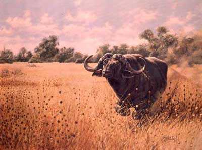 Cape Buffalo by Guy Coheleach Pricing Limited Edition Print image