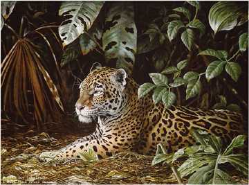 Jungle Cover Jaguar by Guy Coheleach Pricing Limited Edition Print image