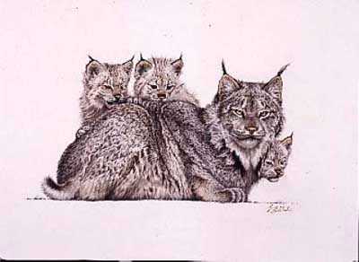Lynx Mother & Kittens by Guy Coheleach Pricing Limited Edition Print image
