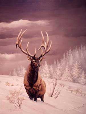 Wapiti Stag by Guy Coheleach Pricing Limited Edition Print image
