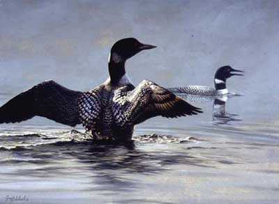 Jewels On Lake by Guy Coheleach Pricing Limited Edition Print image