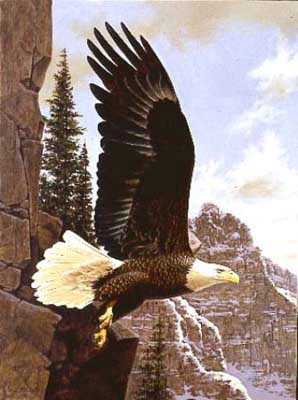 American Bald Eagle by Guy Coheleach Pricing Limited Edition Print image