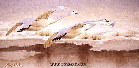Snow Swans by Guy Coheleach Pricing Limited Edition Print image