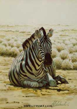 Sitting Zebra by Guy Coheleach Pricing Limited Edition Print image