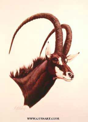 Antelope by Guy Coheleach Pricing Limited Edition Print image
