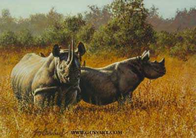 Rhino Couple by Guy Coheleach Pricing Limited Edition Print image