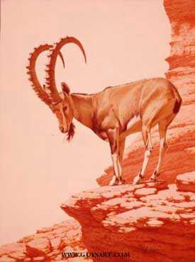 Nubian Ibex by Guy Coheleach Pricing Limited Edition Print image
