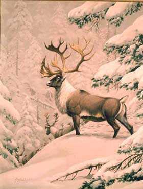 Caribou 1983 by Guy Coheleach Pricing Limited Edition Print image