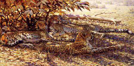 Spots N Dots by Guy Coheleach Pricing Limited Edition Print image