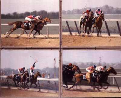 Belmont Stakes by Guy Coheleach Pricing Limited Edition Print image