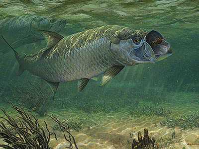 Strike Tarpon by Mark Susinno Pricing Limited Edition Print image