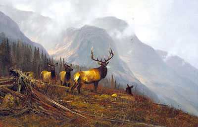 In Bookcliffs Elk by Michael Coleman Pricing Limited Edition Print image