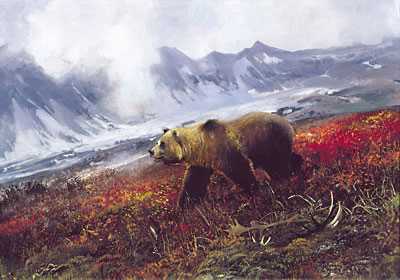 Across Tundra by Michael Coleman Pricing Limited Edition Print image