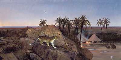 Desert Leopar by Michael Coleman Pricing Limited Edition Print image