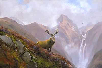 In Highlands by Michael Coleman Pricing Limited Edition Print image