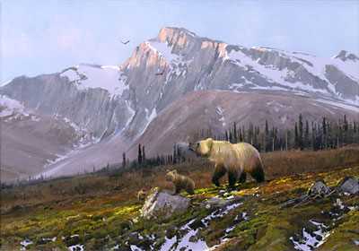 Alaskan Dawn Gapgccnvs by Michael Coleman Pricing Limited Edition Print image