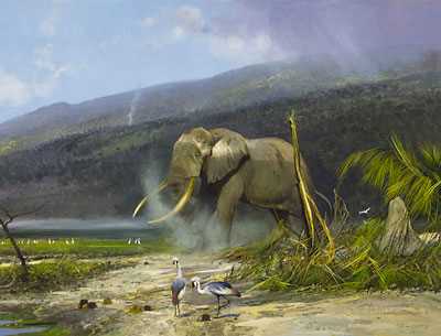 African Tusker by Michael Coleman Pricing Limited Edition Print image