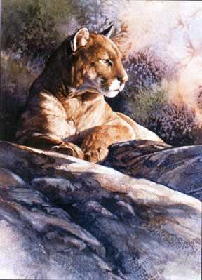 Waiting Mtn Lion by Joe Garcia Pricing Limited Edition Print image