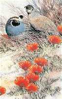 Quail & Poppies I by Joe Garcia Pricing Limited Edition Print image
