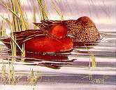 A Touch Of Cinnamon by Joe Garcia Pricing Limited Edition Print image