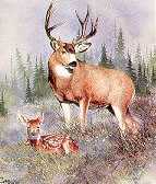 Buck & Fawn by Joe Garcia Pricing Limited Edition Print image
