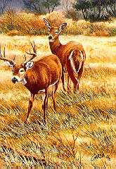 Out From Cover by Joe Garcia Pricing Limited Edition Print image