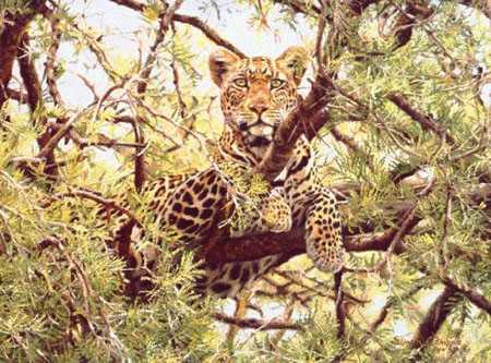 Lookout by Simon Combes Pricing Limited Edition Print image