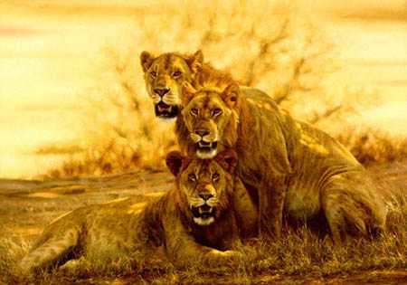 Hot Lions by Simon Combes Pricing Limited Edition Print image