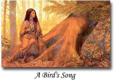 A Birds Song by Shannon Stirnweis Pricing Limited Edition Print image