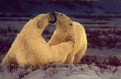 Polar Attraction by Greg Beecham Pricing Limited Edition Print image