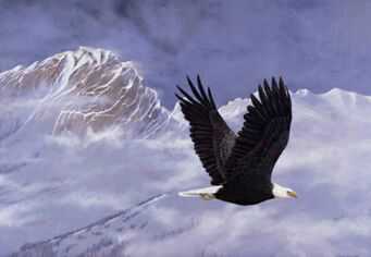 Majestic Flight by Robert Sissel Pricing Limited Edition Print image