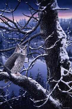 Nightwatcher by Robert Sissel Pricing Limited Edition Print image