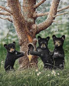 Tree Bears by Robert Sissel Pricing Limited Edition Print image