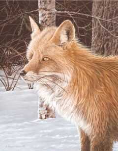 Silent Hunter by Robert Sissel Pricing Limited Edition Print image