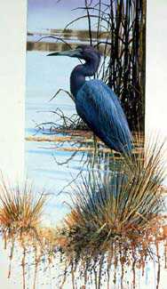 Little Blue Heron by Luke Buck Pricing Limited Edition Print image