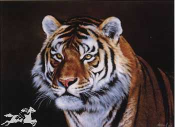 Siberian Tiger by Edward Aldrich Pricing Limited Edition Print image