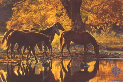 Autumns Amber by Tim Cox Pricing Limited Edition Print image